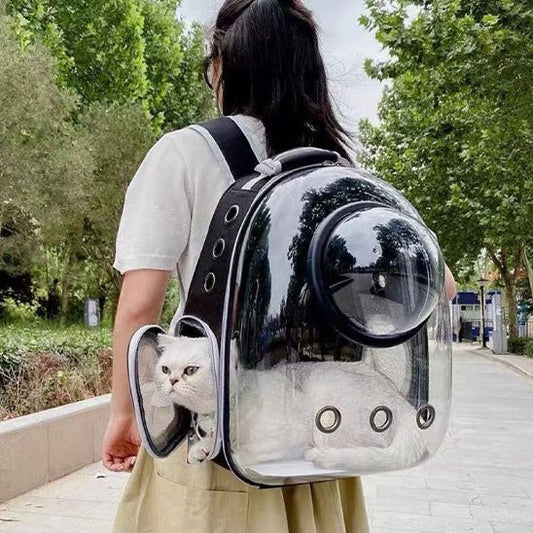 Sac à dos de transport pour chat. - Chat M'étonne !