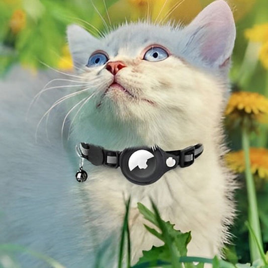 Collier chat |Collier de support AirTag pour chat - Chat M'étonne !
