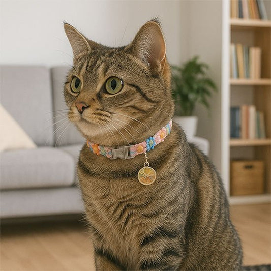 Collier chat | Félin Sécurisé - Chat M'étonne !